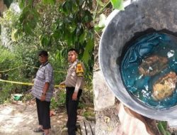 Bocah di Sergai temukan granat aktif diduga sisa PD II