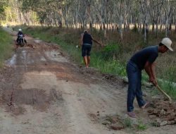 Masyarakat OKU Timur Berharap Bantuan Dinas PU Perbaiki Jalan yang Rusak