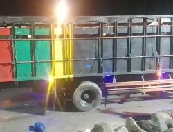 Karantina Ngaku Tak Tahu Jumlah Kuota, Pengiriman Sapi Bali Marak ke Jawa