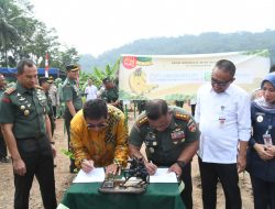Pangdam IV/Diponegoro Dorong Inovasi program budidaya Pisang Cavendish di Kebumen