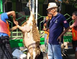 Semarak Idul Adha di Ciremai Giri: Penyembelihan 7 Sapi dan 12 Kambing Qurban