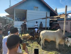 Gampong Geudong-Geudong Potong 7 Hewan Kurban
