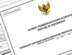 LHKPN Amburadul dan Abal-abal