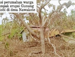 Pemda Flotim Pastikan Lokasi HUNTAP Bagi Warga Pengungsi.