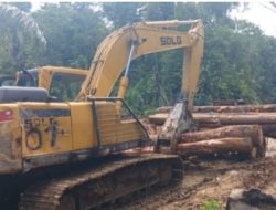 Hutan di Humbahas dibabat, pemanfaat air menjerit