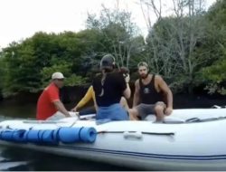 Hutan wisata mangrove di Langkat, magnet baru bagi turis asing