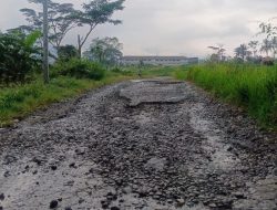 Jalan Poros Taraban–Pagojengan Rusak Parah, Warga dan Ormas Desak Pemkab Brebes Segera Bertindak