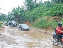 Jalan Provinsi Simpang Sidas Darit Rusak Semakin Parah, Warga Minta Pemprov Kalbar Segera Lakukan Perbaikan