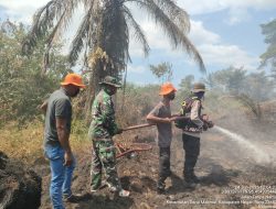 Lahan Perkebunan Sawit Area HGU PT GSM  Darul Makmur, Nagan Raya Terbakar