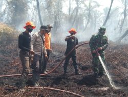Perkebunan Sawit di Area Plasma HGU SPS II di Desa Pulokruet, Darul, Nagan Raya Terbakar