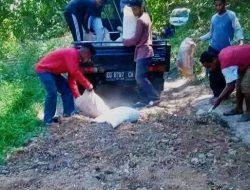 Skandal Tender Proyek Jalan di Flotim, CV Valentin Diduga Menang Lewat Rekayasa. Benarkah?
