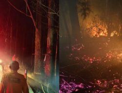 Kebakaran hutan kawasan Danau Toba meluas