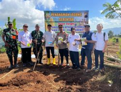 Perhutani dan Polsek Salem Tanam Jagung, Perkuat Ketahanan Pangan di Brebes