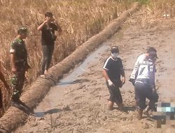 Petani di Brebes Ditemukan Meninggal di Sawah, Diduga Kelelahan saat Bajak Sawah