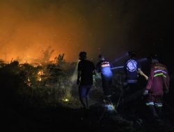 Karhutla di Singkawang Semakin Meluas, Seluruh Kekuatan Damkar Dikerahkan