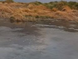 Dinas LHK Sumut jelaskan soal air Danau Toba viral diduga mendidih