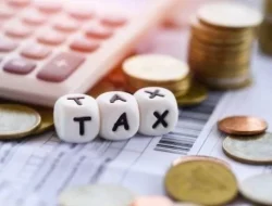 Rasio Pajak Turun, Kepercayaan Juga? Menata Ulang Kontrak Sosial Perpajakan Kita 