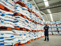 Alhamdulillah, Mentan Amran Sulaiman Pastikan Stok Pupuk Subsidi Aman, Swasembada Beras Dapat Terwujud Tahun Ini