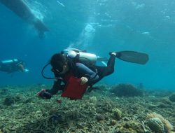 Menjaga Ekosistem Laut, IMIP Rehabilitasi Terumbu Karang Sombori