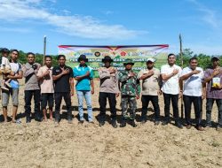 Penanaman Jagung Serentak Wujudkan Ketahanan Pangan