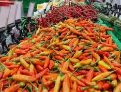 Stok Pangan di Yogyakarta Terkendali, Harga Cabai Tembus Rp 90 Ribu per Kg