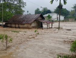 Bela Negara Berbasis Keberlanjutan: Alarm dari Banjir Sumatera–Aceh 2025