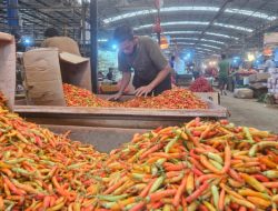 Stabilkan Harga, Kementan Kembali Guyur 1,7 Ton Cabai Rawit Merah ke Pasar Induk Kramat Jati