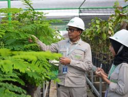 IMIP Fasilitasi Magang Dosen, Kuatkan Kolaborasi Industri–Akademisi