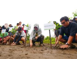 IMIP Tingkatkan Serapan Karbon, Target Reduksi Emisi