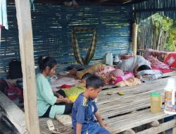 Empat Hari Dterjang Gempa, Pemda Flotim Distribusi Daftar Bantuan Kosong