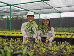 Sambut HLHS 2026, IMIP Jadikan RTH sebagai Kategori Lomba