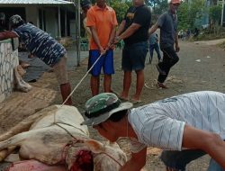 PT Sarana Global Quarry Berkurban Bersama Jamaah Masjid Miftahul Huda, Pererat Silaturahmi dengan Masyarakat Banjar Agung
