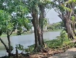 Kampung Ilmu GibranHolic: Inovasi Unggulan GibranHolic RI Tahun 2026