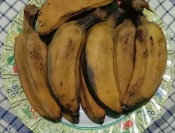 Pisang kepok rebus bermanfaat sebagai camilan sederhana