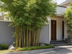 Cara menanam pohon bambu di halaman rumah agar subur dan rapi