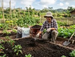 Cara mengolah tanah lahan dan kebun agar subur dan gembur