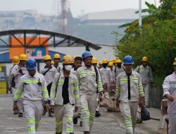 IMIP Serap 98.266 Tenaga Kerja, Pengangguran di Morowali Menurun