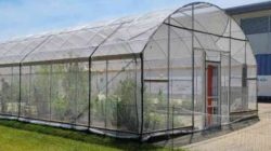 Kontrak 27 Agustus 2026, Pembangunan 17 Unit Green House di Flotim Terancam Gagal