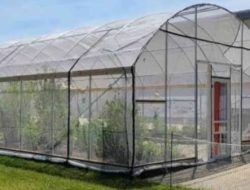 Kontrak 27 Agustus 2026, Pembangunan 17 Unit Green House di Flotim Terancam Gagal