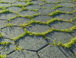 4 cara mencegah rumput tumbuh di antara paving block